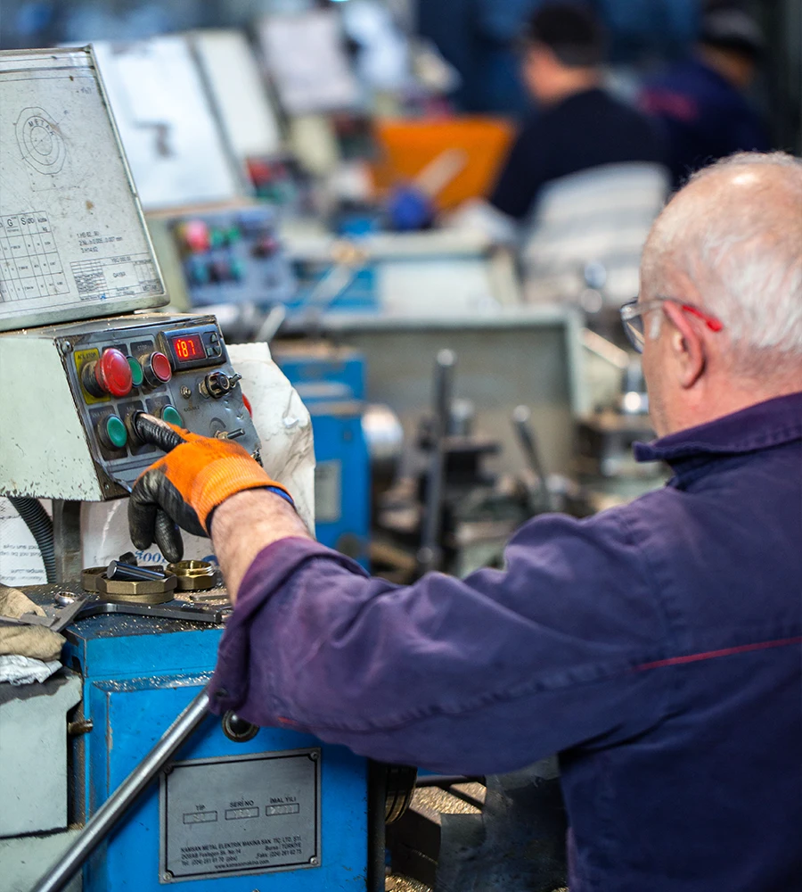 diverse business activities in Hungary